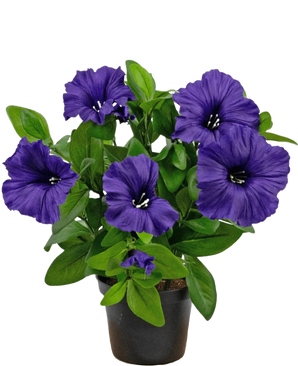 Une plante de pétunia artificielle UV de 25 cm de couleur violette avec des feuilles vertes luxuriantes, présentée dans un pot sur un fond blanc uni.