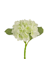 L'hortensia artificiel 34 cm blanc a des pétales blancs doux et ronds et deux grandes feuilles vertes sur une longue tige. Idéale comme fleur décorative pour tout intérieur moderne, sur fond blanc.