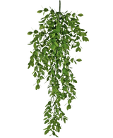La plante artificielle suspendue Jasmin 70 cm présente des grappes denses de petites feuilles vertes qui tombent naturellement et créent un effet drapé luxuriant sur un fond blanc.