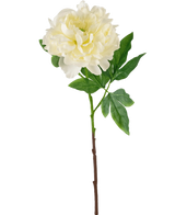 La Fleur Artificielle Pivoine 61 cm blanche est une pivoine blanche artificielle avec des pétales superposés et des feuilles vertes sur une longue tige brune, représentée sur un fond blanc uni.