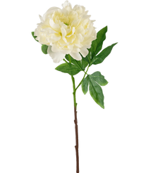 Fleur artificielle Pivoine 61 cm blanc