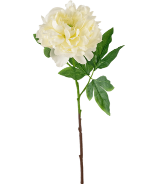 La Fleur Artificielle Pivoine 61 cm blanche est une pivoine blanche artificielle avec des pétales superposés et des feuilles vertes sur une longue tige brune, représentée sur un fond blanc uni.