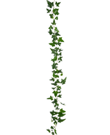 La plante artificielle suspendue Lierre Boston Garland 180 cm vert possède une longue vrille de lierre vert à plusieurs feuilles, suspendue verticalement sur un fond blanc uni.