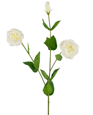De Kunst Eustoma Real Touch Wit 72cm heeft een enkele groene steel met twee open witte bloemen, een gesloten knop en weelderige groene bladeren, allemaal tegen een effen witte achtergrond.