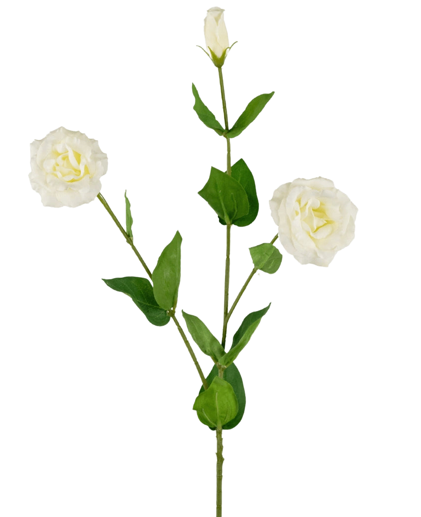 L'Eustoma artificiel Real Touch Blanc 72 cm a une seule tige verte avec deux fleurs blanches ouvertes, un bourgeon fermé et des feuilles vertes luxuriantes, le tout sur un fond blanc uni.