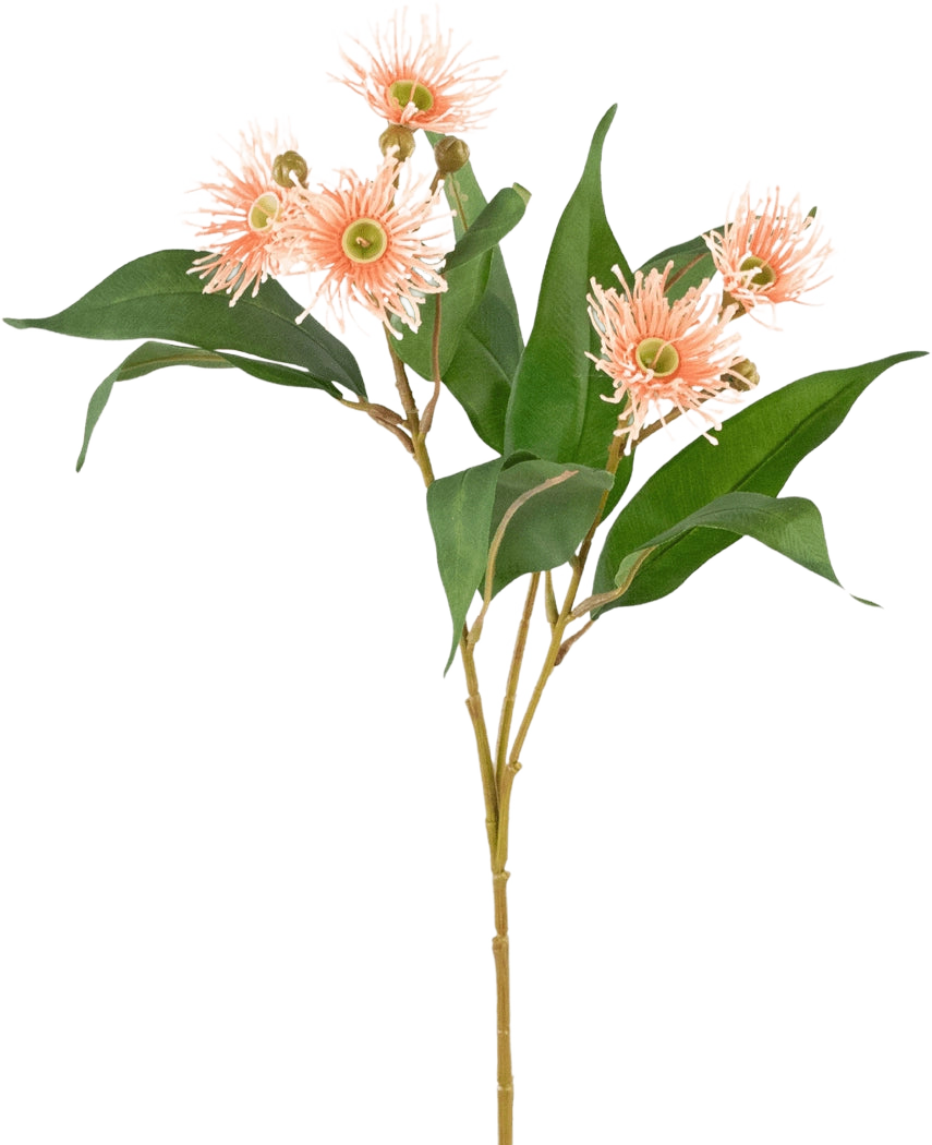 La branche artificielle d'eucalyptus fleurie de 62 cm vieux rose a de longues feuilles vertes et des fleurs rondes et vaporeuses rose clair avec des centres jaunes, parfaites comme décoration vieux rose et représentées isolées sur un fond blanc.