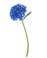 La Fleur Artificielle Charlotte Hortensia Real Touch bleu foncé est un hortensia artificiel bleu unique avec tige et feuilles vertes, de 55 cm de haut, isolé sur fond blanc.