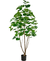 La plante artificielle Ficus 210 cm est une grande plante d'intérieur en pot avec plusieurs tiges fines brunes et de grandes feuilles vertes luxuriantes, sur un fond blanc uni.