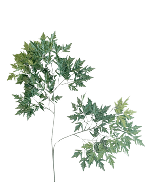 La Feuille Artificielle Ming Aralia 50 cm verte ignifuge est une plante artificielle haute et élancée avec de fines tiges et des bouquets de feuilles vertes aux bords dentelés sur un fond blanc uni.