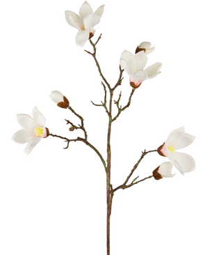 De Kunstmagnoliatak Real Touch Wit 98cm heeft een enkele bruine steel met meerdere takken, elk met witte magnoliabloemen en knoppen met een gele kern, prachtig weergegeven tegen een effen witte achtergrond.