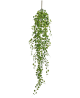 La plante artificielle suspendue Pumila 100 cm possède une longue vigne sinueuse avec de petites feuilles vertes rondes suspendues à une seule tige, sur un fond blanc uni.