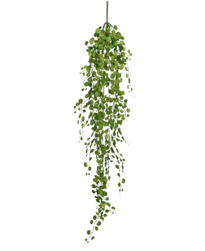 La plante artificielle suspendue Pumila 100 cm possède une longue vigne sinueuse avec de petites feuilles vertes rondes suspendues à une seule tige, sur un fond blanc uni.