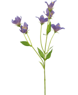 La fleur artificielle Harebell 62 cm violette possède une seule tige verte avec de multiples branches, chacune décorée de délicates fleurs violettes et de feuilles vertes, sur un fond blanc uni.