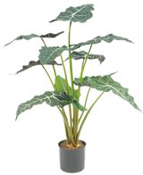 La plante artificielle Alocasia UV 67 cm est une plante artificielle en pot avec de grandes feuilles vert foncé en forme de flèche et des veines blanches frappantes, représentées sur un fond blanc uni.