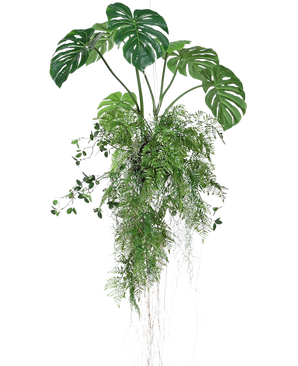 La plante artificielle suspendue Monstera/Fern Ball 100 cm XL présente des feuilles de monstera et des fougères d'un vert luxuriant avec de longues vrilles et racines traînantes, parfaites pour ajouter de la verdure à n'importe quel espace sur un fond blanc.