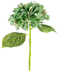 Hortensia artificiel Deluxe 33 cm vert foncé