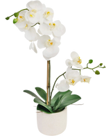 L'Orchidée artificielle Real Touch 60 cm blanche présente de délicates fleurs blanches, des bourgeons verts et de larges feuilles vertes, soutenues par un fin tuteur dans un petit pot blanc.