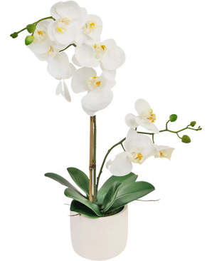 L'Orchidée artificielle Real Touch 60 cm blanche présente de délicates fleurs blanches, des bourgeons verts et de larges feuilles vertes, soutenues par un fin tuteur dans un petit pot blanc.