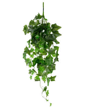 Le Lierre Artificiel 70 cm vert est un lierre artificiel suspendu avec des feuilles vertes pendantes et de multiples vrilles sur un fond blanc uni.