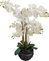 L'Orchidée artificielle Real Touch 85 cm blanche présente de grandes fleurs d'orchidées blanches au cœur jaune et aux feuilles vertes brillantes, joliment disposées dans un pot en céramique noire.