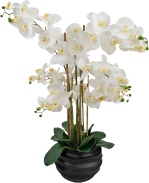 L'Orchidée artificielle Real Touch 85 cm blanche présente de grandes fleurs d'orchidées blanches au cœur jaune et aux feuilles vertes brillantes, joliment disposées dans un pot en céramique noire.