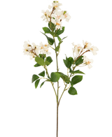 La fleur artificielle Lagerstroemia 92 cm blanche a une tige haute avec des grappes de petites fleurs blanches et des feuilles vertes, parfaites pour ajouter une beauté durable à n'importe quel espace. Idéale comme plante artificielle saisissante sur un fond blanc uni.