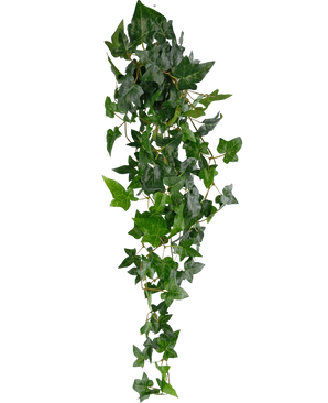 La plante artificielle suspendue Ivy Boston 100 cm vert a des feuilles pointues vertes luxuriantes sur de longues et fines tiges, créant un effet de lierre traînant réaliste sur un fond blanc uni.