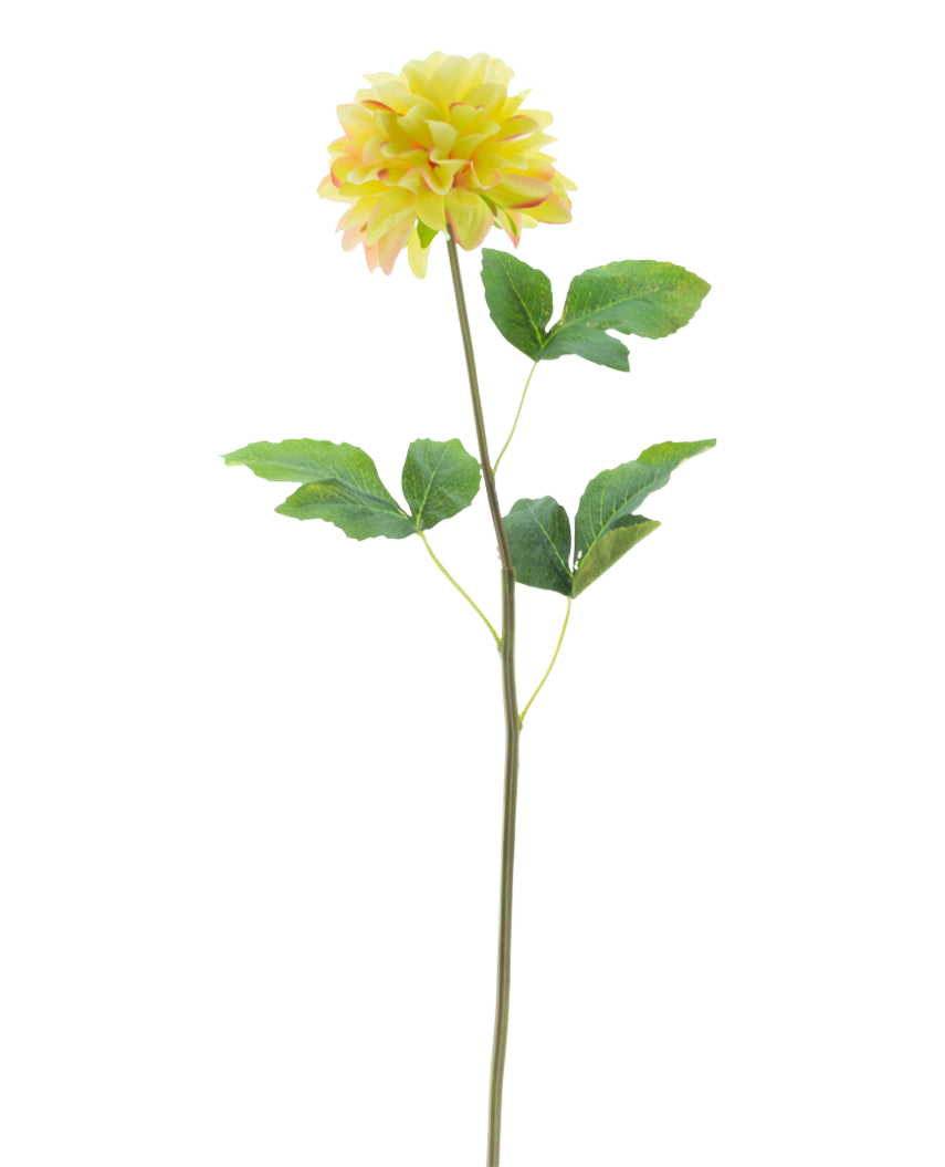 La Fleur Artificielle Dahlia Real Touch Champagne 73 cm présente une fleur de dahlia réaliste de couleur champagne avec des feuilles vertes sur une tige longue et fine sur un fond blanc.