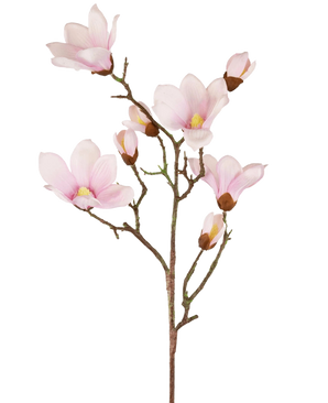 De Kunstmagnoliatak Real Touch Roze 98cm heeft verschillende lichtroze magnolia bloemen en knoppen met zachte bloemblaadjes, een geel hart en bruine stelen, allemaal tegen een witte achtergrond.