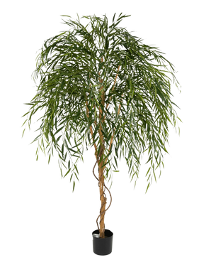 Le Saule Artificiel 210 cm est un grand arbre artificiel avec des feuilles vertes fines et pendantes et un tronc marron torsadé sur un fond blanc uni.