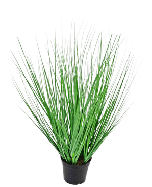 Le gazon artificiel oignon 50 cm ignifuge a de longues feuilles fines ressemblant à de l'herbe verte s'étalant vers l'extérieur à partir du centre, présentées dans un pot sur un fond blanc uni.