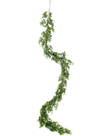 La vigne artificielle Pumila 182 cm possède une longue vigne verte sinueuse avec de petites feuilles, qui pend verticalement sur un fond blanc uni.