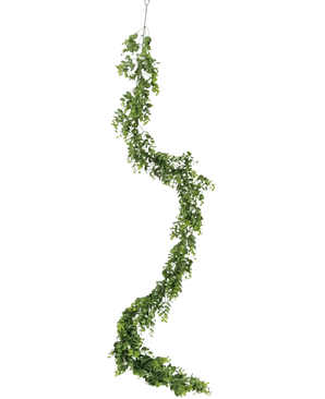 La vigne artificielle Pumila 182 cm possède une longue vigne verte sinueuse avec de petites feuilles, qui pend verticalement sur un fond blanc uni.