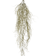 La plante artificielle suspendue Sudo 110 cm possède de fines branches séchées longues et bouclées qui pendent sur un fond uni blanc. Elle ajoute de l'atmosphère et du confort en tant que plante artificielle suspendue unique à votre espace.