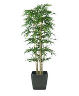 Le Bambou Artificiel 300 cm ignifuge a de fines feuilles vertes et plusieurs tiges marron clair dans un simple pot carré noir, sur un fond blanc uni.