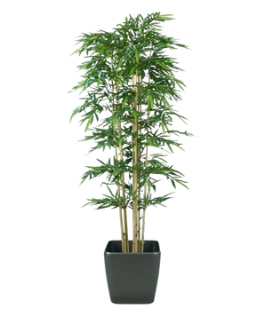 Le Bambou Artificiel 300 cm ignifuge a de fines feuilles vertes et plusieurs tiges marron clair dans un simple pot carré noir, sur un fond blanc uni.