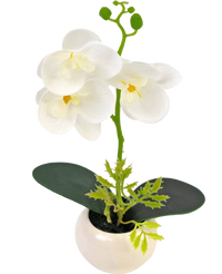 Orchidée artificielle 28 cm blanche dans un pot