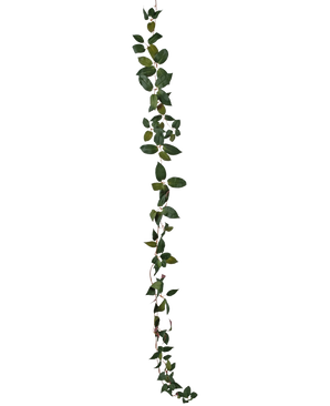 L'Art Tradescantia Garland Green 180 cm est une vigne à une seule feuille verte représentée verticalement sur un fond blanc uni.