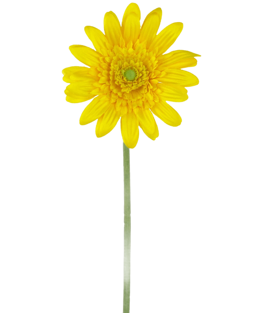 La Fleur Artificielle Gerbera 53 cm jaune est une marguerite artificielle jaune unique avec un cœur vert et une longue tige verte, sur un fond blanc uni.