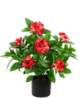 Plante artificielle Gardenia 39 cm fuchsia