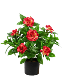 Plante artificielle Gardenia 39 cm fuchsia
