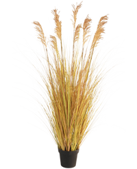 Gazon artificiel Sorghum 150 cm ignifugé