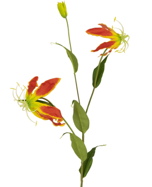La fleur artificielle Gloriosa 81 cm rouge/jaune a deux fleurs de lys gloriosa rouges et jaunes ouvertes, un bourgeon fermé et un certain nombre de longues feuilles vertes, le tout sur un fond blanc uni.