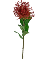La fleur artificielle Protea 73 cm rouge a une seule protéa en coussin rouge avec des pétales épineux et des feuilles vertes sur une tige longue et fine, sur un fond blanc.