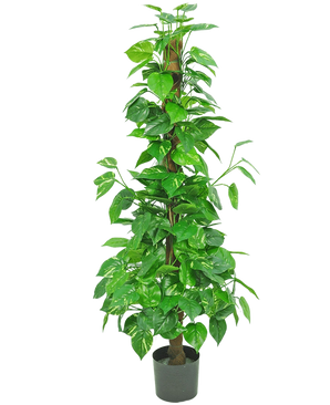 La Plante Artificielle Pothos 150 cm est une grande plante artificielle avec des feuilles vertes brillantes sur une tige centrale marron, dans un petit pot noir sur un fond blanc uni.