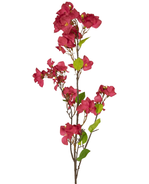 La Fleur Artificielle Bougainvillier 120 cm bordeaux a une seule tige avec plusieurs fleurs artificielles bordeaux profond et des feuilles vertes sur de fines branches brunes, sur un fond blanc uni.