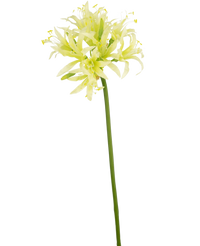 Fleur artificielle Nerine 70 cm verte