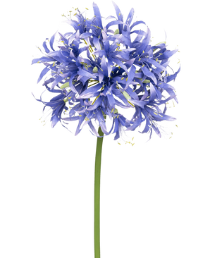 Une fleur artificielle Nerine de 70 cm violette avec de nombreuses petites fleurs violettes en forme d'étoile regroupées en grappe sphérique sur une longue tige verte, sur un fond blanc uni.