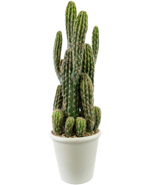 Le cactus artificiel de 62 cm a de hautes tiges vertes et dressées avec des épines et est présenté dans un pot blanc rempli de galets, sur un fond blanc uni.