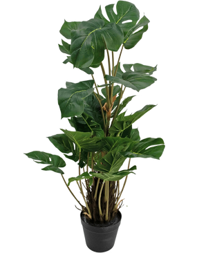 La Plante Artificielle Monstera 90 cm est une plante artificielle aux grandes feuilles vertes brillantes avec des fentes naturelles, dressées dans un pot noir sur un fond blanc uni.